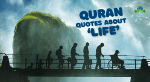 Quran quotes about life